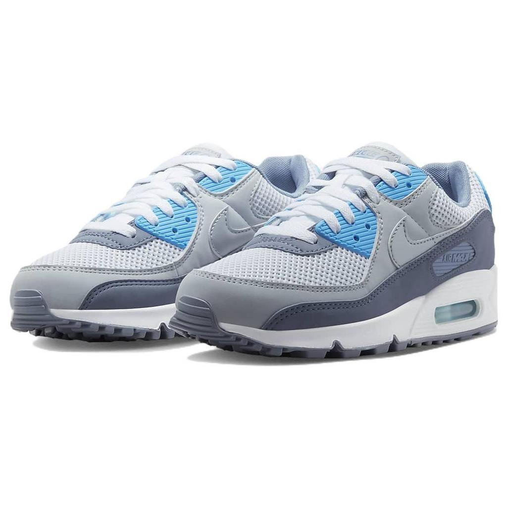Nike  Air Max 90 SE Platinum Ashen Slate Women Sneakers Grey Pure-Platinum White FD0376-043
