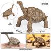 Wild Animal Model: Children's Simulation Turtle Gift Set - Tortoise Variants & Spiderweb Design.