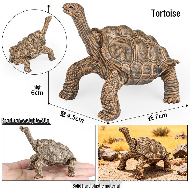 Wild Animal Model: Children's Simulation Turtle Gift Set - Tortoise Variants & Spiderweb Design.