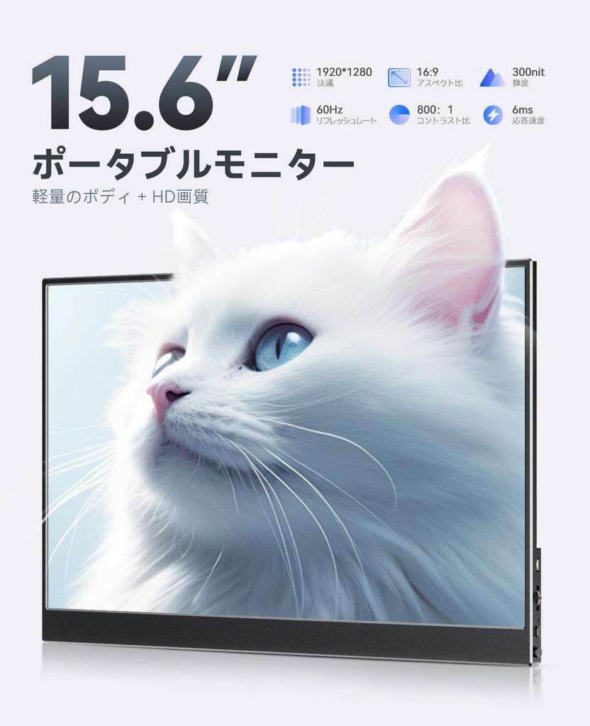 UWH Touchscreen Gaming Lightweight and Light Eye Compatible with Computers and Mobile Gaming Devices 15.6-inch Monitor, 169 10-Point 19201080