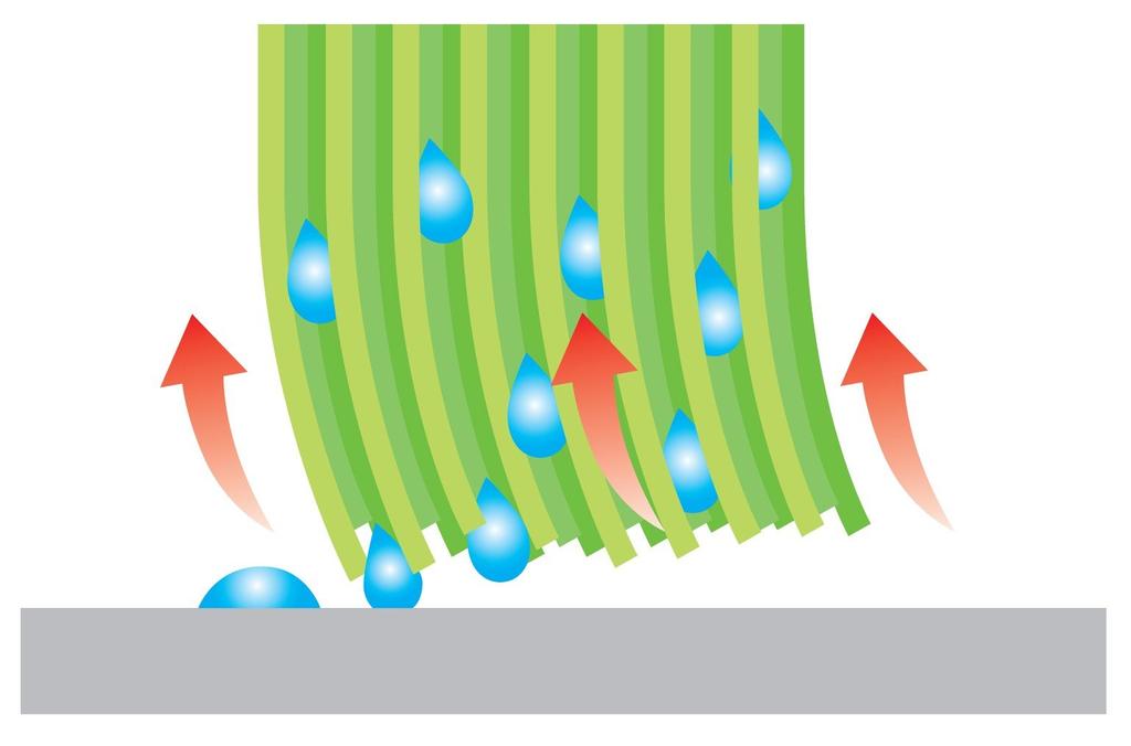 Sanko Sanko Mop Toilet Dust Dirt Toilet Floor Wiping Mop with Spare Green BR-77