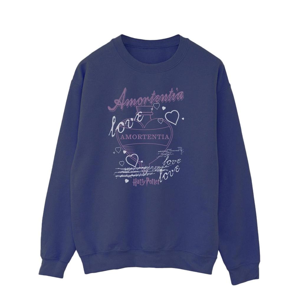 HARRY POTTER Men's Amortentia Potion Sweatshirt