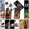 Soft Cover for Samsung Galaxy S22 S21 S20 FE Ultra Plus A35 A36 A55 A37 A33 A34 A57 Coque Phone Case Dachshund Dog