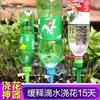 12Pcs Self-Watering Kits Automatic Waterers Drip Irrigation Indoor Plant Watering Device Plant Garden Gadgets Creative