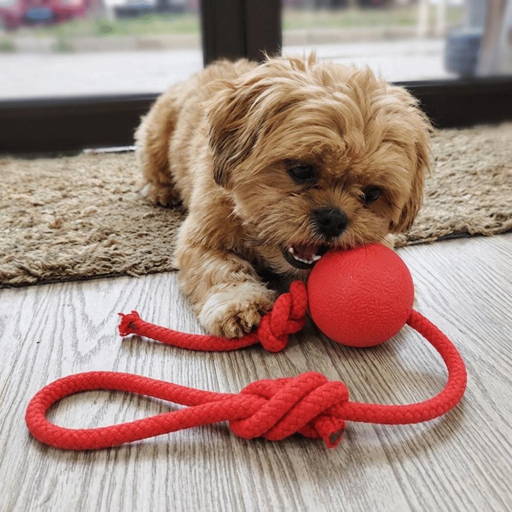 Round Shape Dog Chew Ball Cotton Rope Dog Elastic Toy Puppy Molar Toy  Outdoor Fetch Game