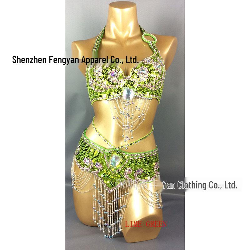 Belly Dance Sequin Bra & Waist
