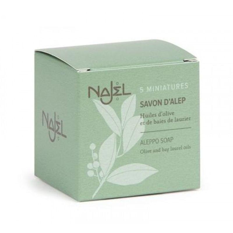 Najel - Aleppo Guest Soaps