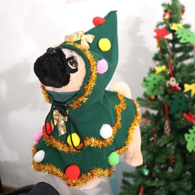 Kleding en schoenen – Jassen voor honden