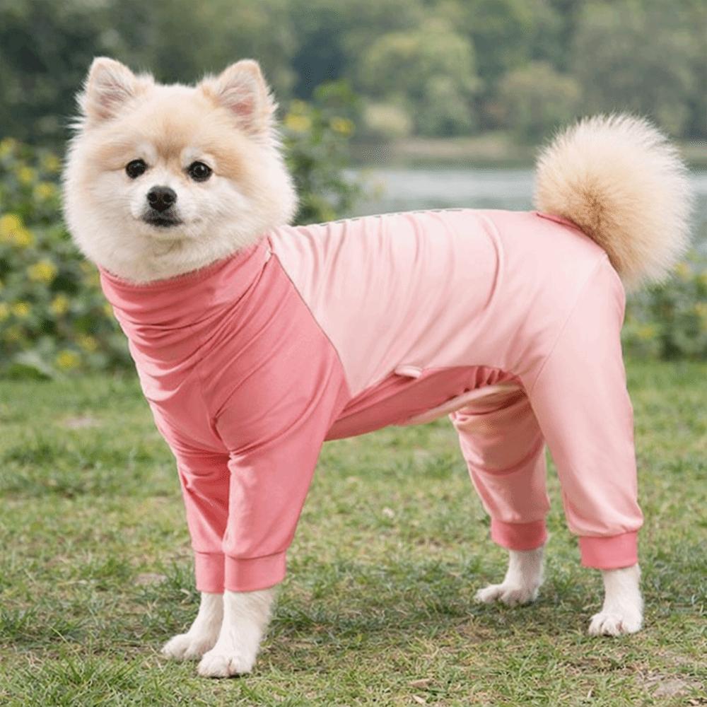 Soft Dog Jumpsuit Long Sleeves Dog Sterilization Suit Dog Four-Legged Pajamas  Spay Recovery