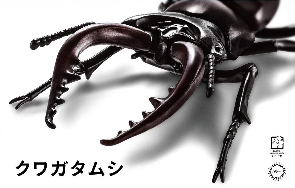 Free Research Series Living Creatures Stag Beetle Plastic Model No.22