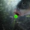 20/25Pcs Outdoor Fishing Fake Bait Easy Installation Luminous Beans Silicone Beads Fishing Lure Easy-to-Carry Fishing Gear