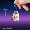 Well-designed Bright Acrylic Keychain, Perfect for Backpack Accessories, Phone Pendant, Car & Home Decor, Birthday Holiday & Party Gift