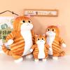 Plush Toy Cute Cat Funny Expression Doll Girl Throw Pillow