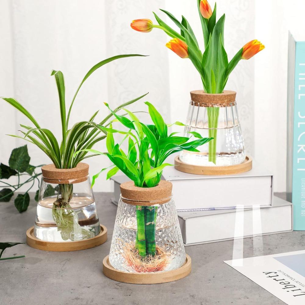 3pcs Plants Propagation Station Separated Desktop Plant Terrarium with Wood Lid and Stand 3 Style Glass Planter Propagated Jars