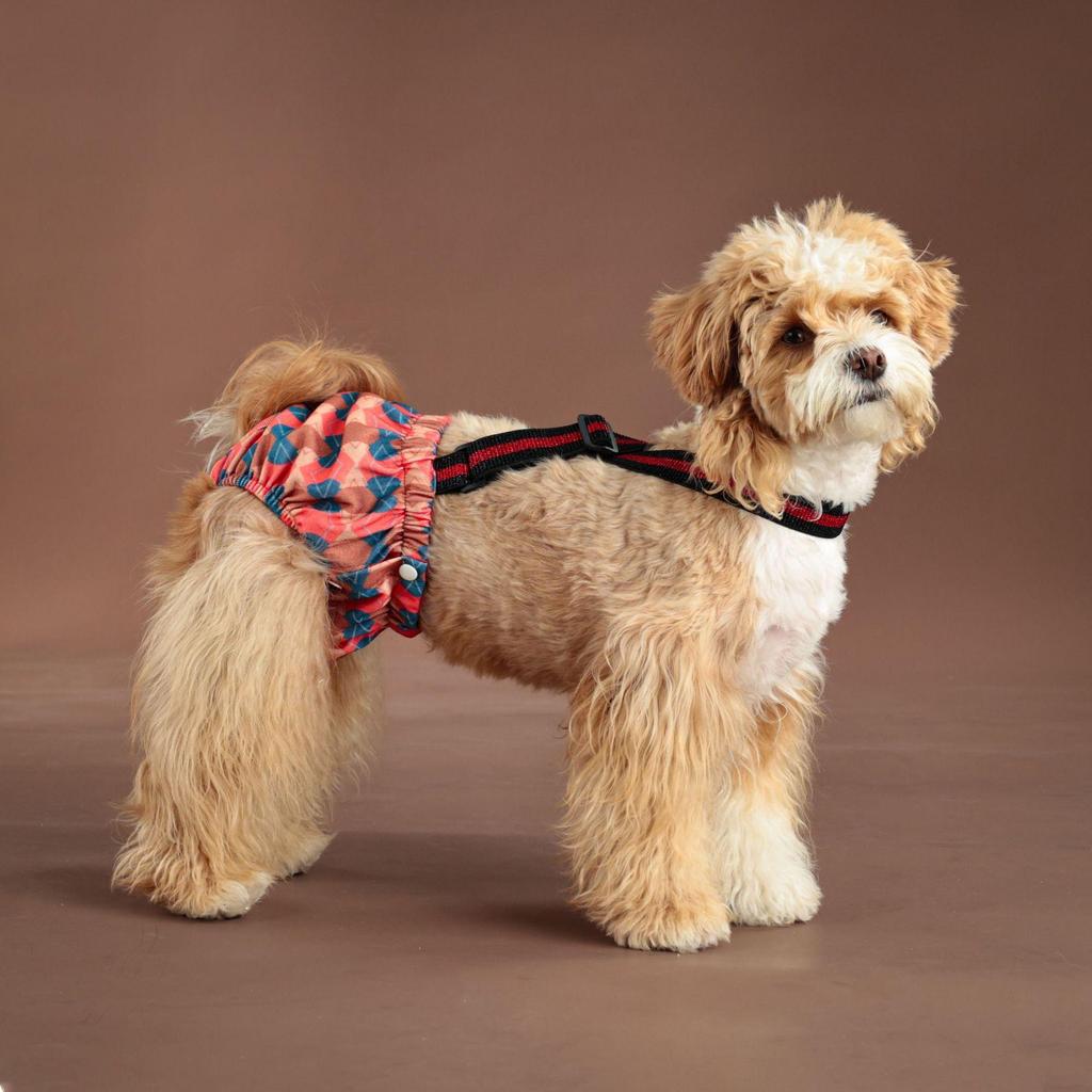 Large Dog Physiological Safety Suspenders - Female Dog Menstrual Anti-Harassment Pants