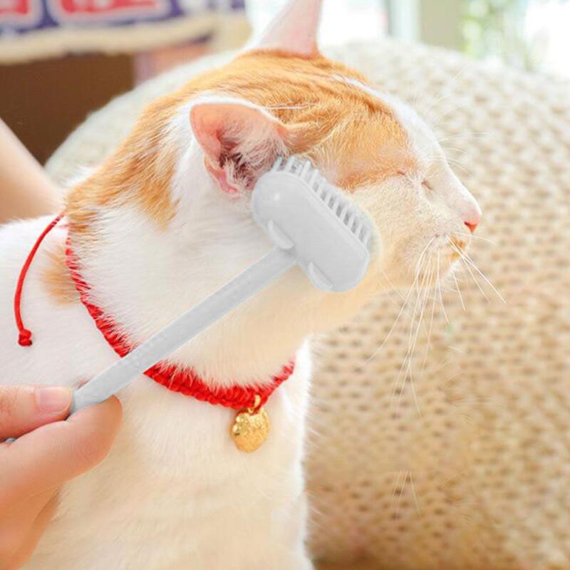 1 katt skallra borste (välj en färg)