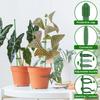 40PCS Plant Support Stick Reusable Flower Holder Clips Plant Extension Pole Stick For Support Climbing Plants Garden Accessories