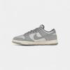 Nike Dunk Low Cool Grey Football Grey (Women's)
