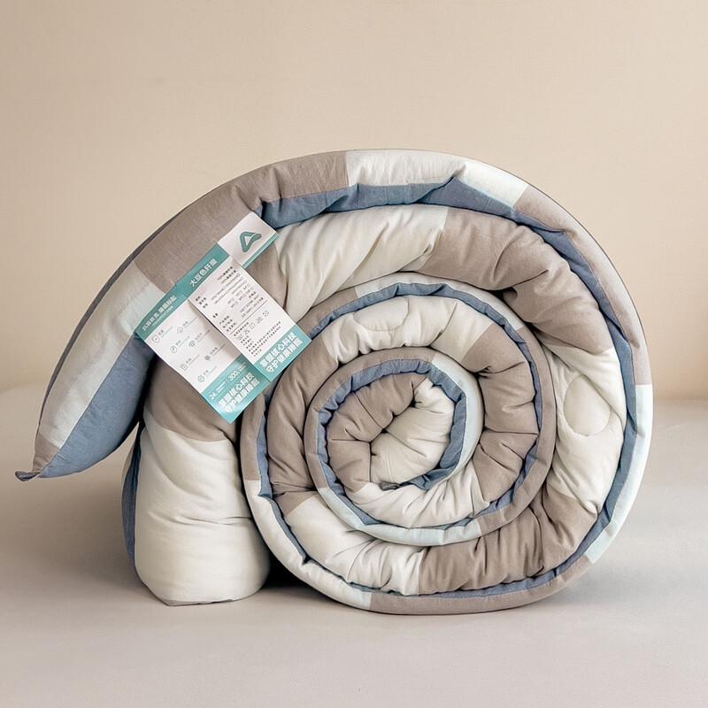 Southern Life 10A Antibacterial All-Season Fiber Quilt