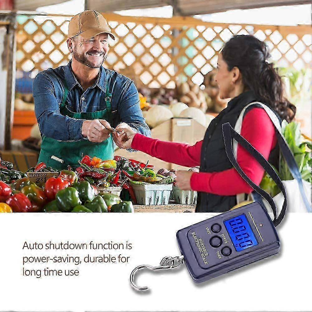 40kg LCD Digital Fishing Scale - Portable Electronic Weight Meter for Travel & Outdoor Use