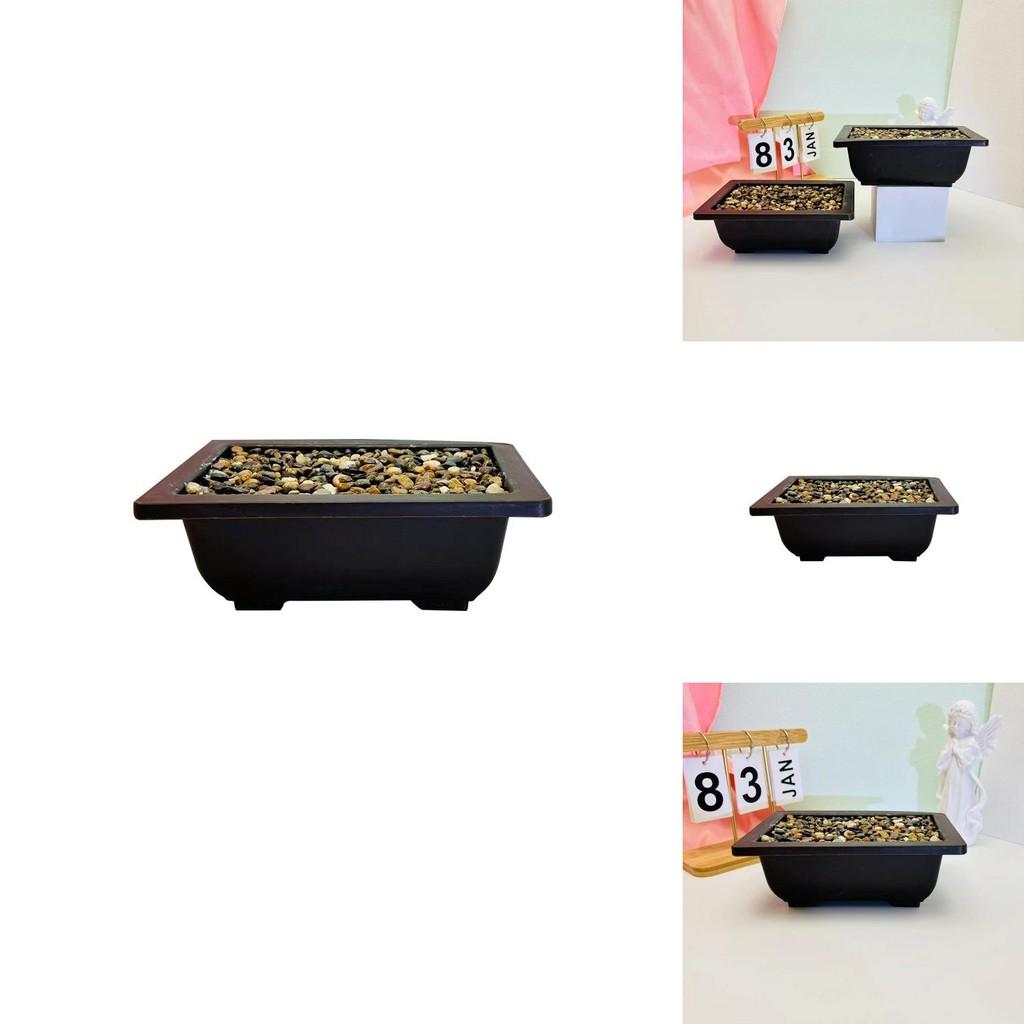 Flowerpot With Simulated Rainflower Rocks For Office Or Living Room Decor