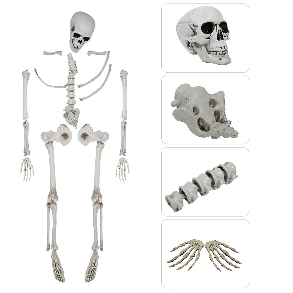 Halloween Room Haunted House Bar Decoration Terrorist Body Skull Skeleton 28 Parts Tricky Props