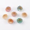 Mini Hair Claw Shell Shape Hair Clip Lightweight Side Bang Small Hair Pin Anti-slip Teeth Strong Grip Hair Accessory