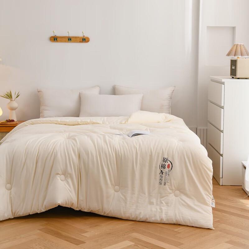 Roman Roland Warm Soft Soybean Fiber Comforter