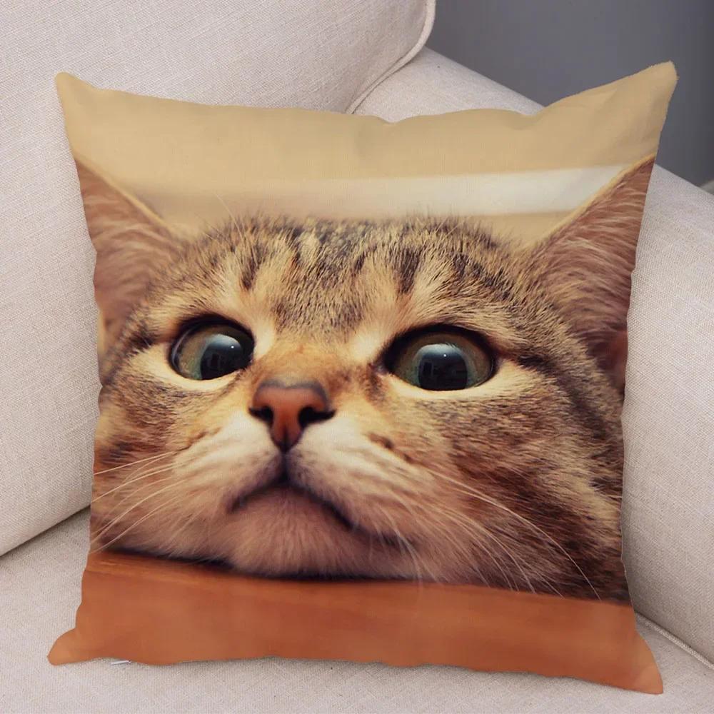 

Смешная милая наволочка с кошкой Декор Прекрасный принт с домашним животным Наволочка Супермягкая плюшевая наволочка для подушки для автомобиля Дивана Дома 45x45см 40x40cm зелёный