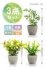 October1st Faux Greenery, Artificial Houseplants, 3-Piece Set, Tabletop, Photocatalytic Treatment, Artificial Flowers, Interior Decor, Mini Indoor