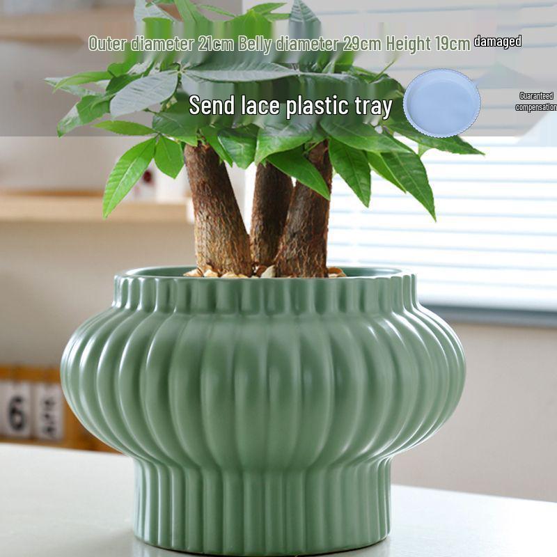 Nordic Style White Ceramic Succulent Pot with Four Compartments