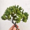 10-28cm Modelo de árvore de arame em miniatura boutique árvore verde para decoração de plataforma planta Modelo G/Ho/N escala trem ferrovia layout material