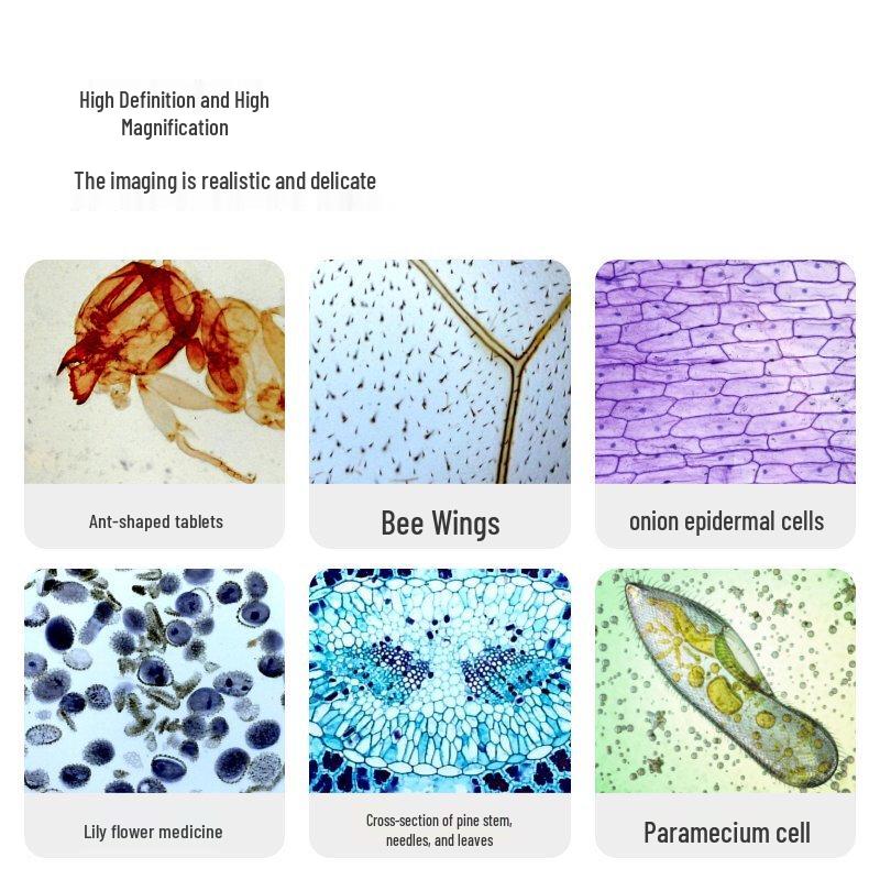 Dangdangli Smart Educational Microscopes & Telescopes