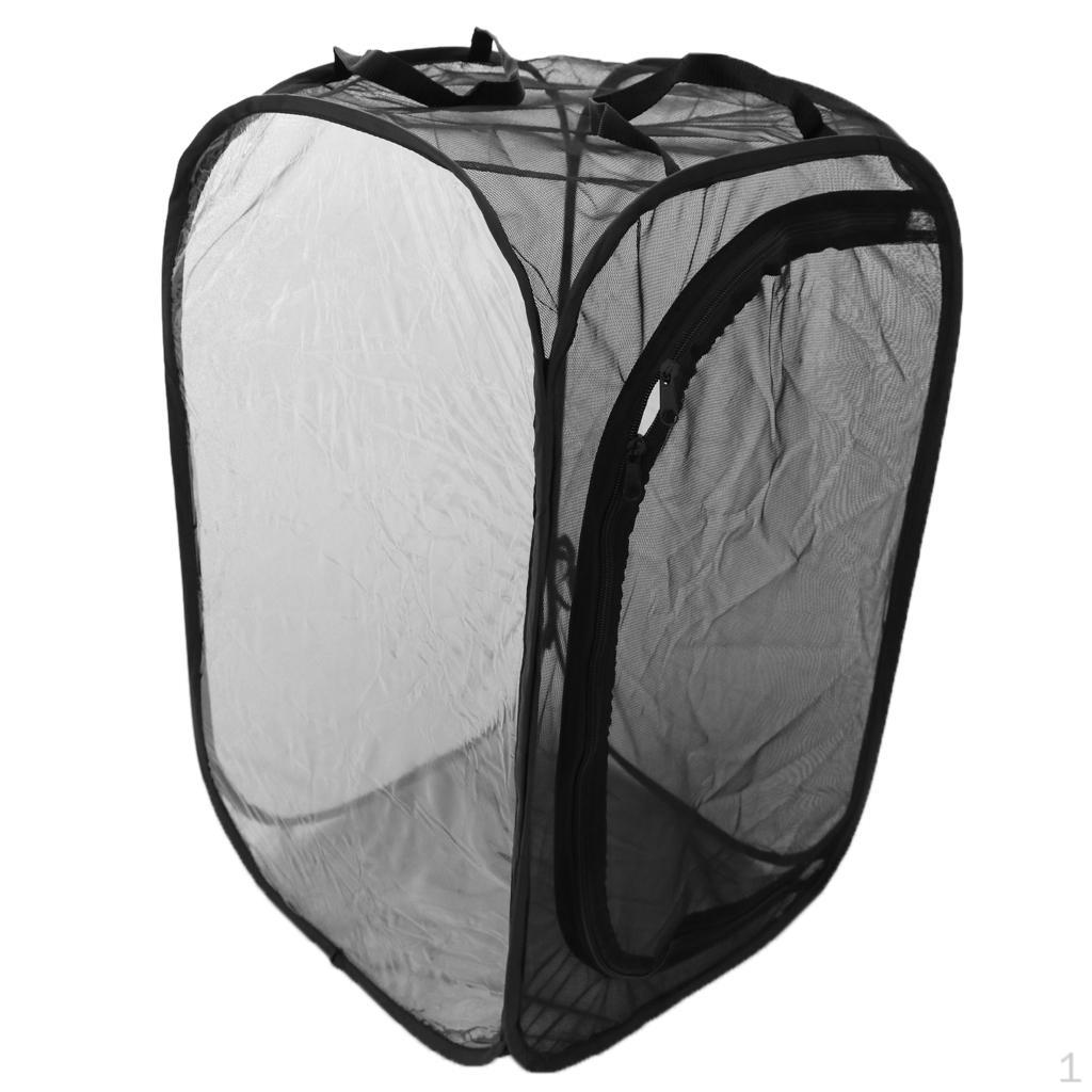 & Butterfly Portable Habitat Terrarium Collapsible Butterflies Mesh Cage M