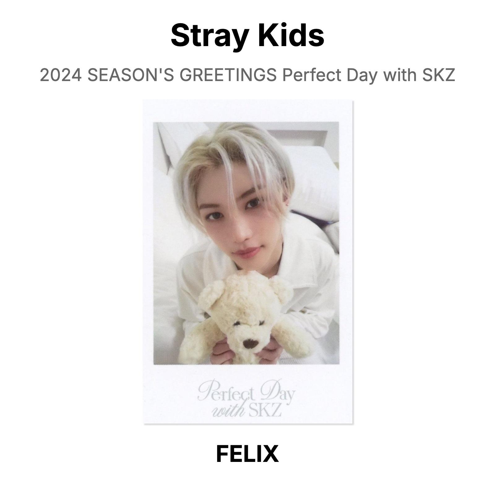 Stray Kids 2024 SEASON S GREETINGS Perfect Day with SKZ Official Photocard FELIX 02