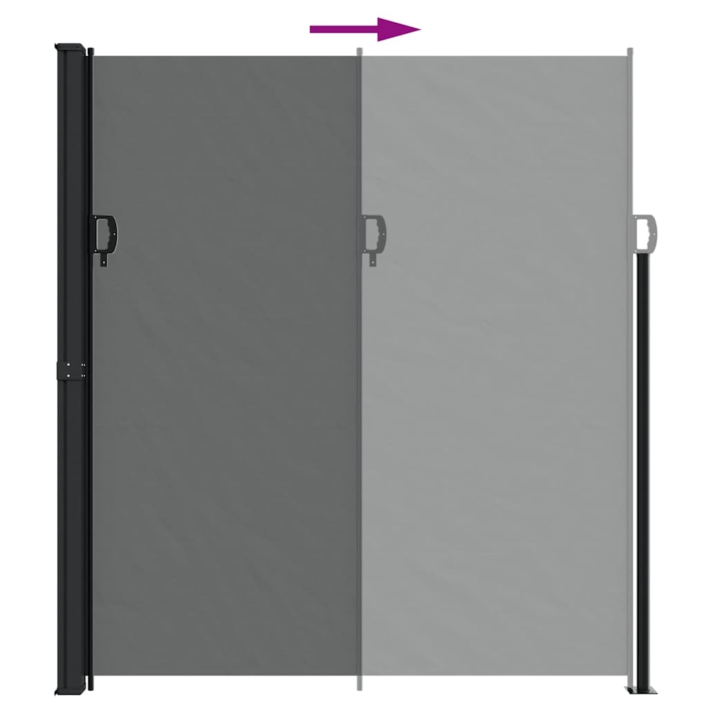 Retractable Side Awning Anthracite 220 x 300 cm