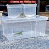 Ventilated Turtle Transport Container Stackable Reptile Terrarium  Crawling Pet