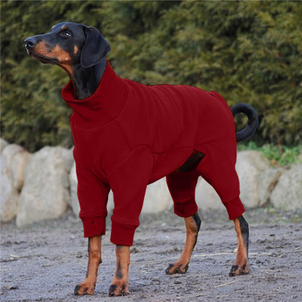 long dog coats