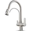 TLXT 3-in-1 Pull-Out Kitchen Sink Faucet