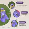 6Pcs Simulation Feather Birds Models Fake Foam Artificial Birds Diy Wedding Home Garden Ornament Decoration Tree Decor