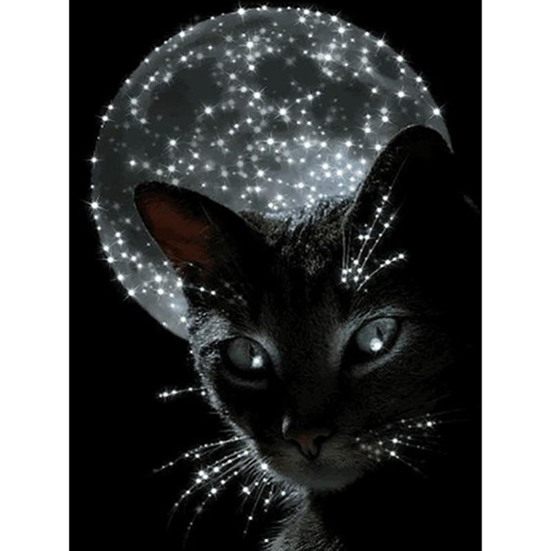 

5D DIY Алмазная картина Полный квадратный/круглый дрель Темный кот Алмазная вышивка Наборы для вышивки крестом Домашний декор Подарок Round 30x40cm коричневый