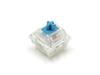 FILCO CHERRY MX2A RGB 5-Pin Switches, Blue, Pack of 70, for RGB Keyboards with Clear Cases (FKSW70CHMC-RZ)