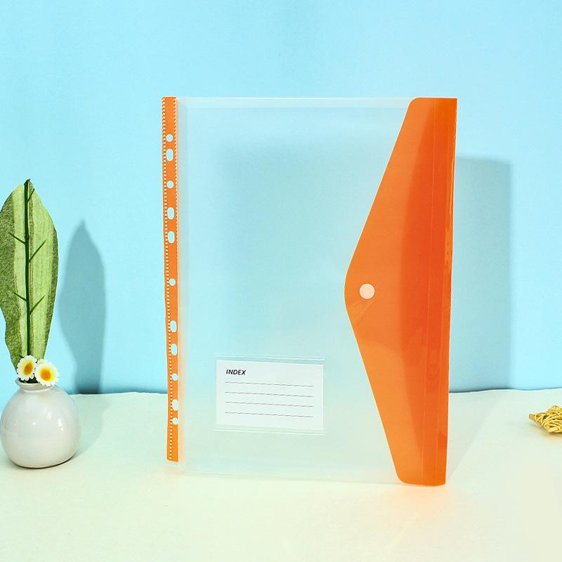 11-Hole 3D A4 Transparent Snap-Button File Bag with Card Holder - Colorful Student Document Organizer