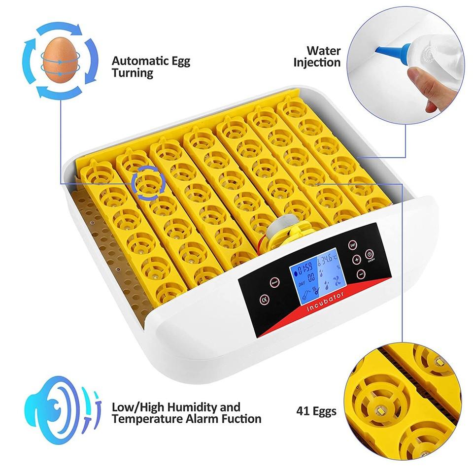 Incubatrice per 42 Uova, Schiuditore Automatico con Candela per Uova