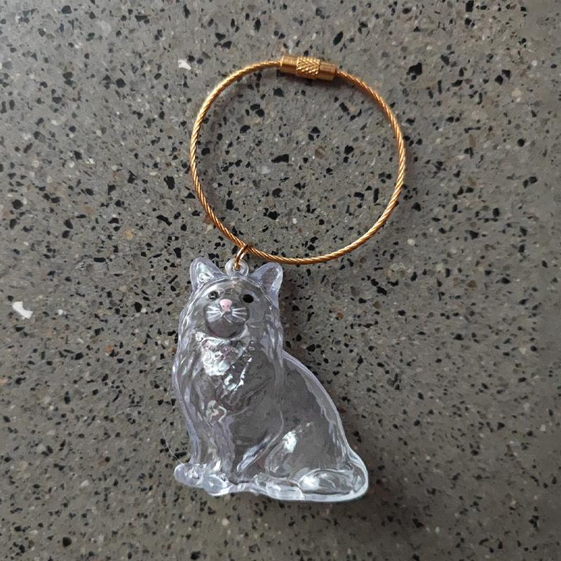 Scatola porta peli cane/gatto a forma di gatto cartone animato Trasparente Cura del pelo Portachiavi peli animali Domestici Portachiavi fatti a mano fai da te Ciondoli Zaino