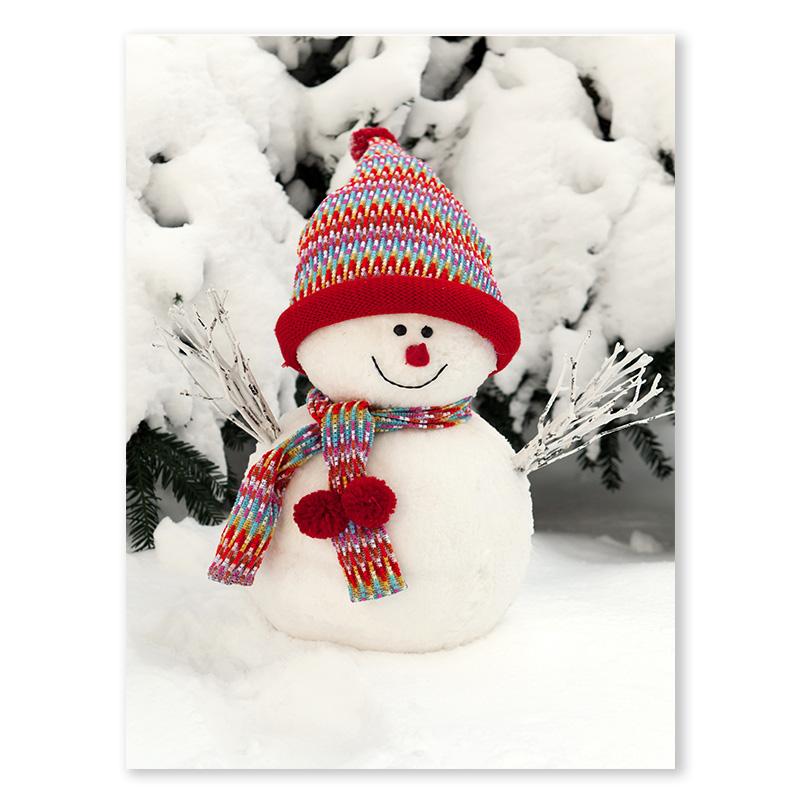 

Рождественский шарф со снеговиком, холст, картина, лось, белка, художественный постер, сосна, лампа для переноски, снежный дом, настенное искусство, украшение для спальни 30x40cm No Framed