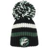 HARRY POTTER Unisex Adult Slytherin Bobble Beanie