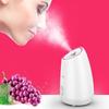 Cat Ear Nano Facial Steamer for Hydration and Pore Care