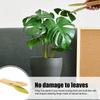 Щипці для чищення листя Щипці для чищення листя кімнатних рослин Засіб для чищення листя рослин у формі листка