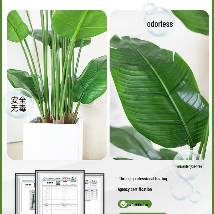 High-End Indoor Bird of Paradise Decor: Luxury Potted Traveler's Palm